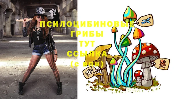 винт Алексеевка