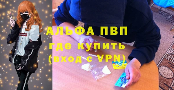 гидра Алексин