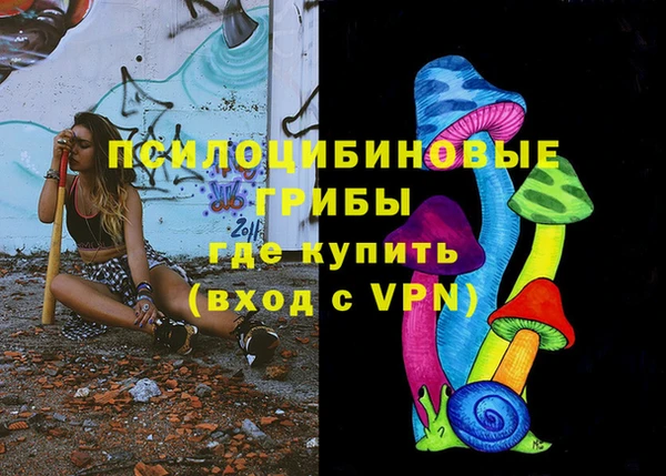 ешки Алзамай
