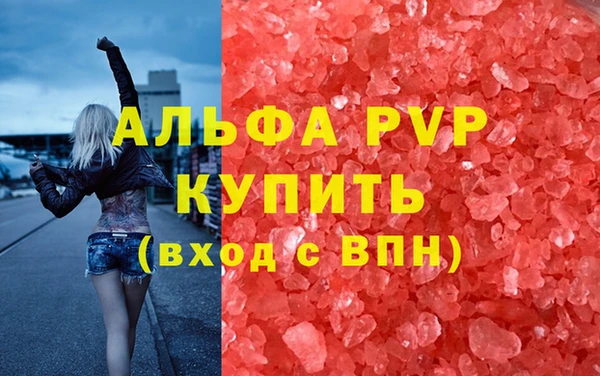 гидра Алексин