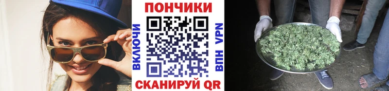 omg зеркало  как найти наркотики  Себеж  Конопля AK-47 